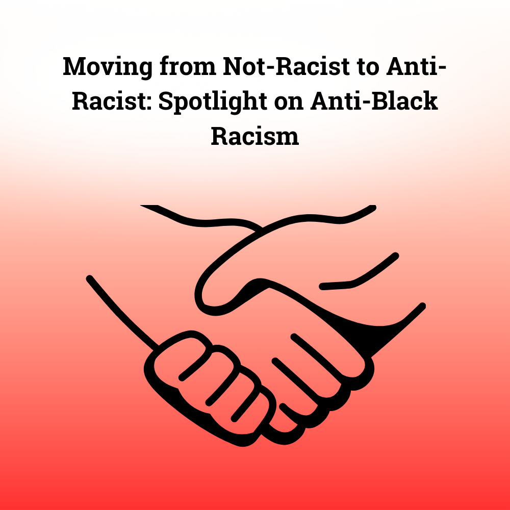 Sqaure Images and Newsletter Banner (16).png